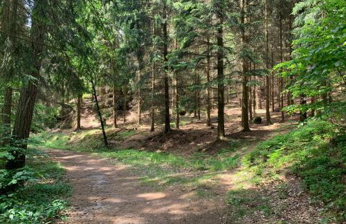 Holiday Home Waldferienhaus Dunja mit Sauna- Whirlpool- direkt am Waldrand- Kletterfelsen by Interhome - Photo 13