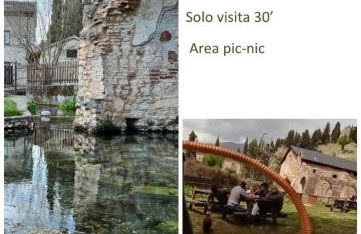 B&B Home Holiday Villa delle Acacie agriturismo - Foto 19