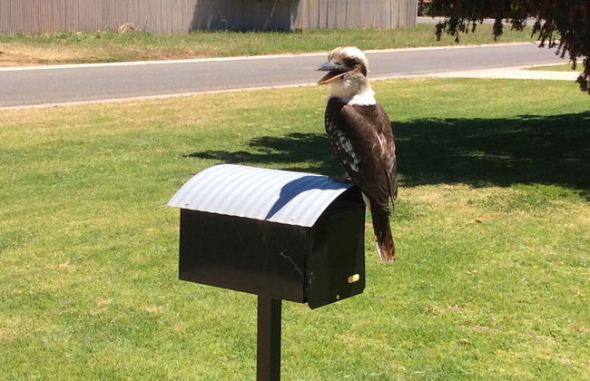 Greenways Holiday Units - Photo 22