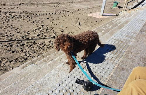 Apartamento con jardín y piscina Pet friendly - Photo 45