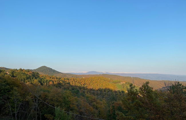 Cottage With Swimming Pool - Photo 36