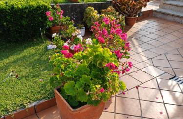 A casa da Piruleta - Foto 29