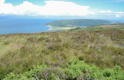 The Annex - Photo 17