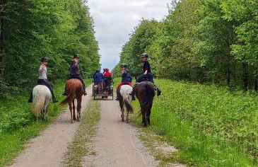 Chambres Senonches centre-ville - Foto 60