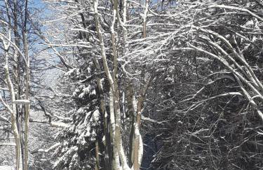 Apartament Zielony Zakątek - Foto 42