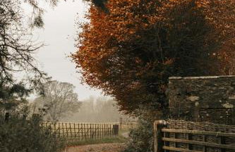 Shepherds Hut - Foto 19
