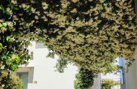 Dimore della Fausa - Foto 34