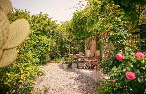 Domaine Hemmitage - Foto 4