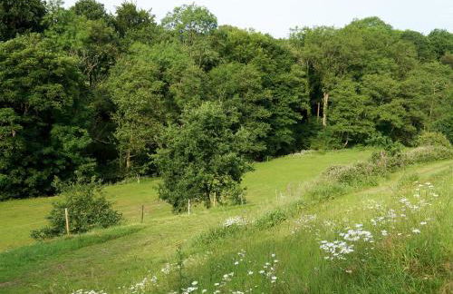 Burrills View - Foto 23