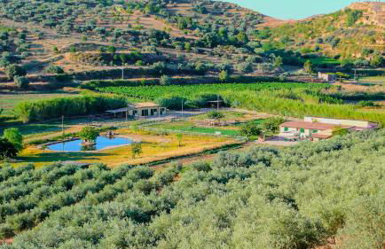 Tenuta Bartoli - Foto 30