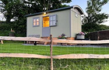 Luxury Shepherd Hut on small South Hams farm, Devon - Foto 2