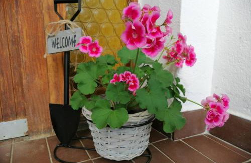 Apartman Kopriva - Photo 21