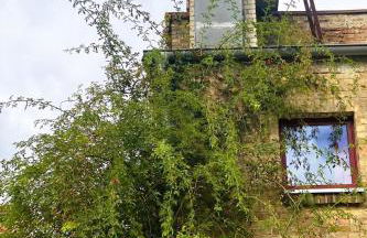 Romantikferienhaus am Schlösschen - Sauna, Kamin & Seenlandschaft nahe Berlin - Foto 22