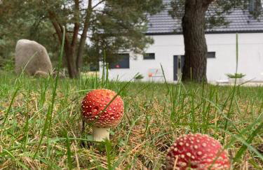 Strefa Natur dom z jacuzzi na wyłączność - Foto 25