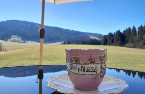 Neueröffnung, 2 wunderschöne Ferienwohnungen im Grünen - Foto 27