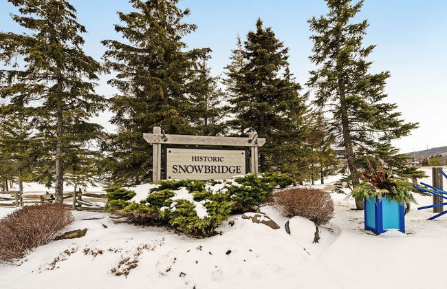 Snowbridge - Foto 47
