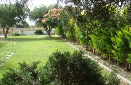 Elia by the sea - Photo 31