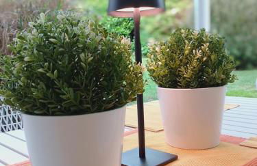 Wald und Wiese - Foto 30