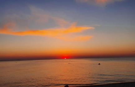 Krabbenfischer - Foto 1