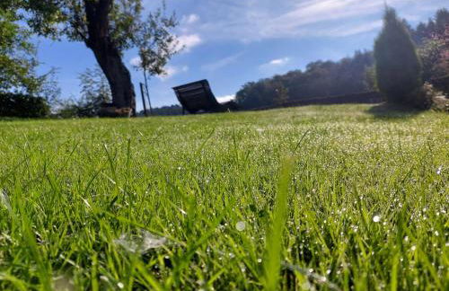 Ferienwohnungen Schneider - Foto 45