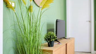 Casa Rístori Fábrica de Harinas - Foto 5