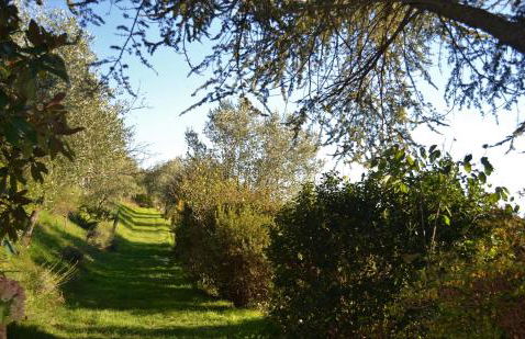 Ala di Maniero in Agriturismo Valdrago in Toscana, nel Verde Mugello sulle Colline di Firenze Autodromo Mugello Circuit - Foto 47