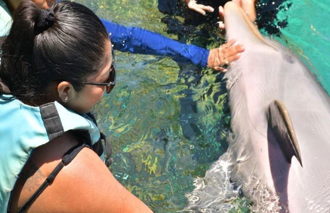 Delfin Schwimm-Abenteuer in Grand Sirenis Akumal-Tulum - Foto 9