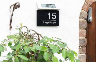 Jungle Lodge - Foto 3