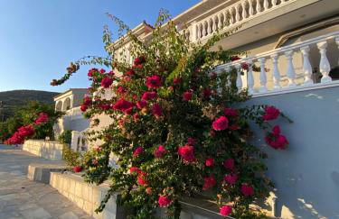 Villa Karras - Photo 22