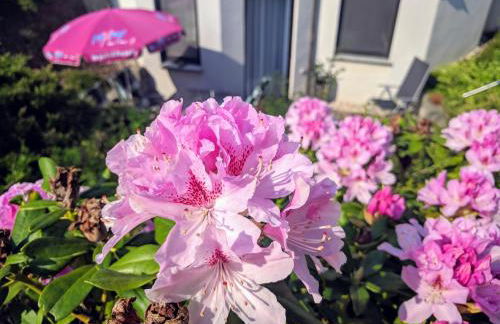 Ferienwohnung mit Terrasse - Foto 14