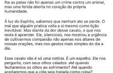 SH Flat - Foto 5