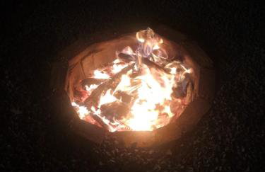 Cantim da Flor - Vale do Capão - Foto 69