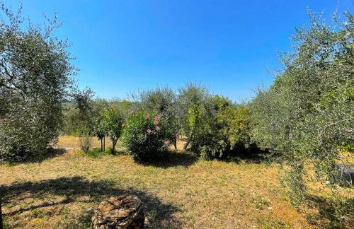 Provençal farmhouse 6 guests Peymeinade near Cannes - Foto 30