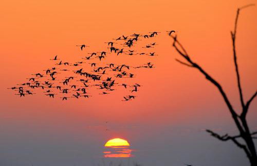 Villa Pedras D'el Rei - Foto 25