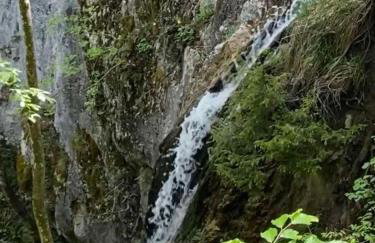 Kod Slaveka - Foto 23