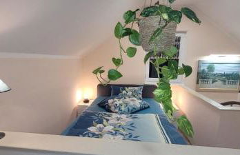 Ferienhäuser Preuss - Foto 7