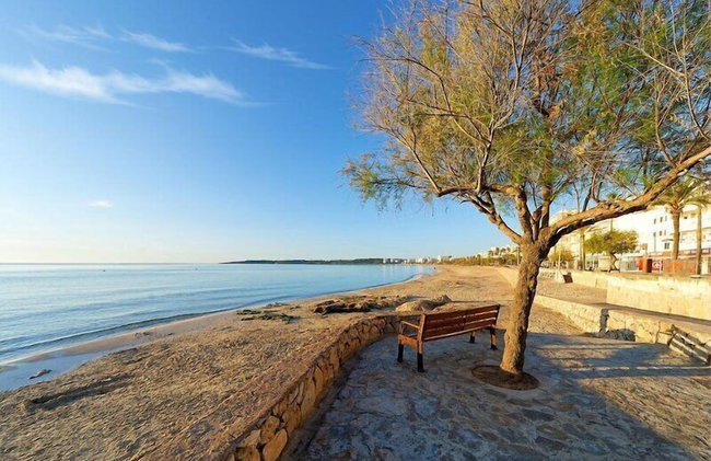 R2 Cala Millor - Photo 87