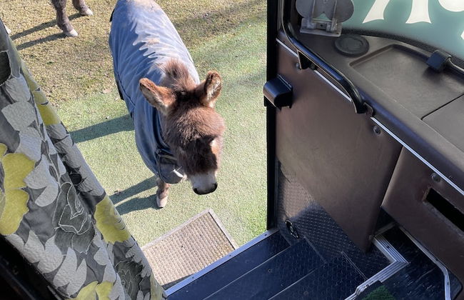 Fosfelle Glamping - Photo 7