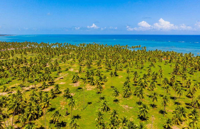 Excursión privada a Mirante da Sereia, playa de Ipioca y Paripueira - Foto 5