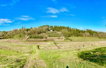 I Girasoli di Lari - Bilocale La Margherita - Foto 25