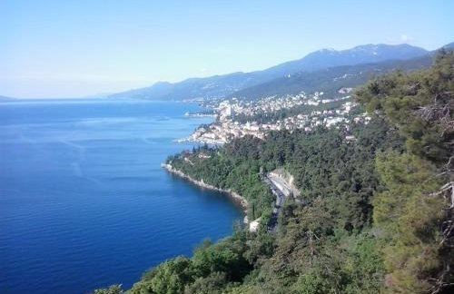 Apartments Jakov - Foto 13