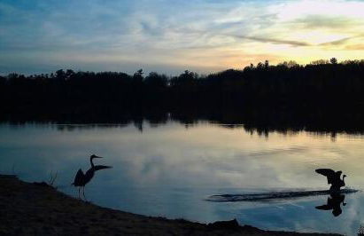 Cozy Private Log Cabin on acreage - Foto 23