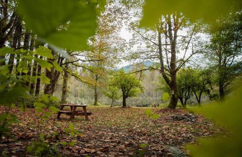 Cascade River Bungalow in the North Cascades - Foto 26