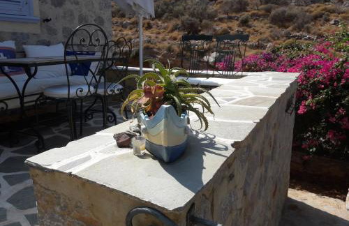 Hydra Erato - Foto 24