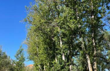 Apartamento RUTA DEL VELETA - Foto 43