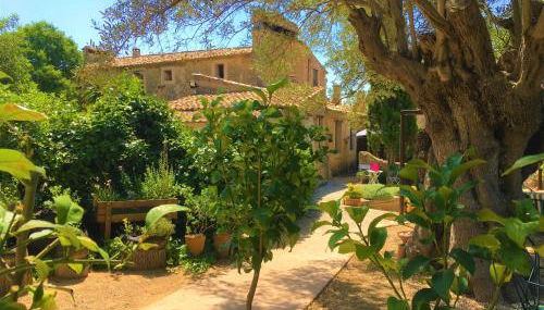 Agroturismo Son Penyaflor - Foto 5, Garden