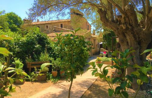 Agroturismo Son Penyaflor - Foto 5