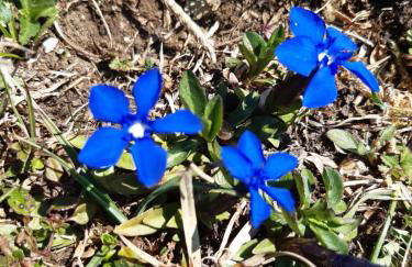 CHALET LES EPILOBES - Foto 14