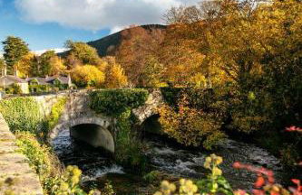 Garden Double Room with own door access and bathroom - Photo 22