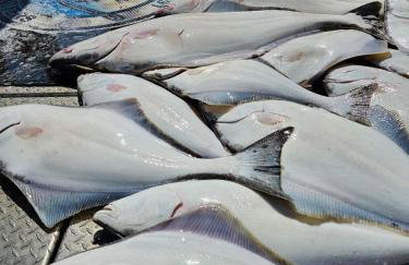 Paradise Suites The Wolf Den - Foto 24